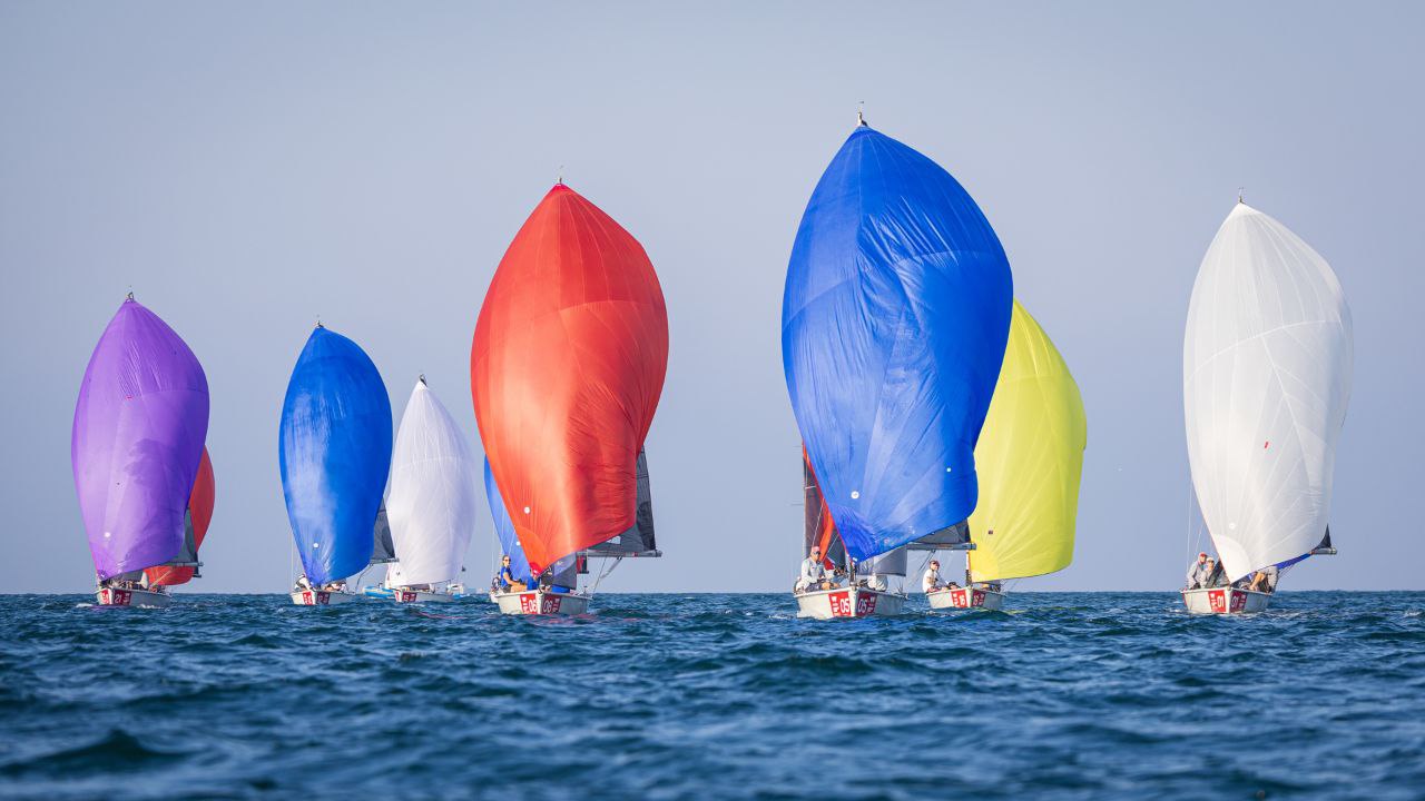 Sailing race with colourful spinnakers